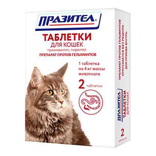 Антигельминтик для кошек Празител 2 таблетки арт. 1078957