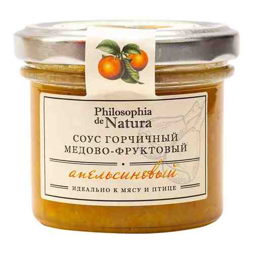 Соус Philosophia de Natura горчичный медово-фруктовый апельсиновый 100г арт. 979112