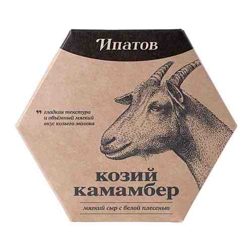 Сыр Ипатов Мастерская сыра Козий камамбер 50% 125г арт. 678655