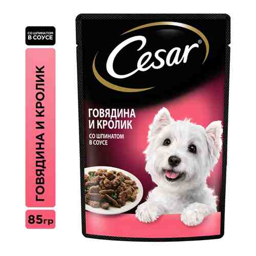 Влажный корм для собак Cesar с говядиной кроликом и шпинатом в соусе 85г арт. 988477