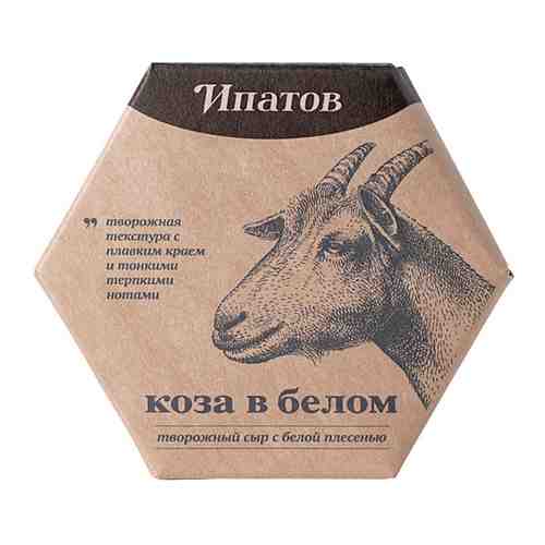Сыр Ипатов Мастерская сыра Коза в белом с белой плесенью 50% 110г арт. 678654